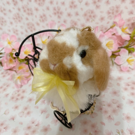 バックチャーム